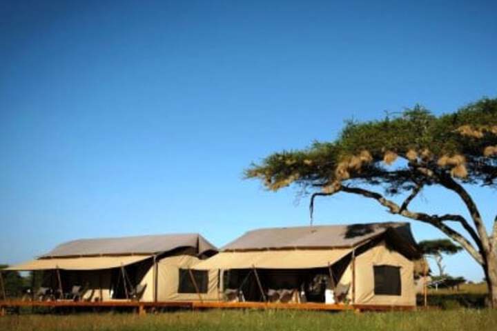Siringit Serengeti Camp
