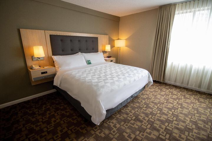 1 King Bed (6 of 15)