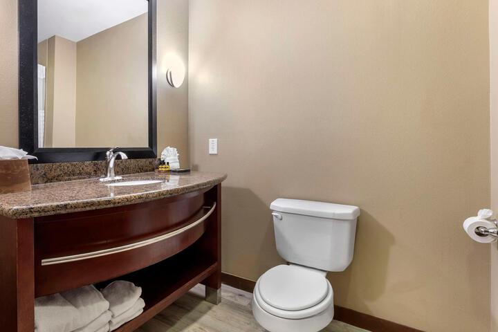 Accessible Suite 1 King Bed Accessible Communicatassist Roll in Shower Sofa Bed Breakfast (18 of 32)