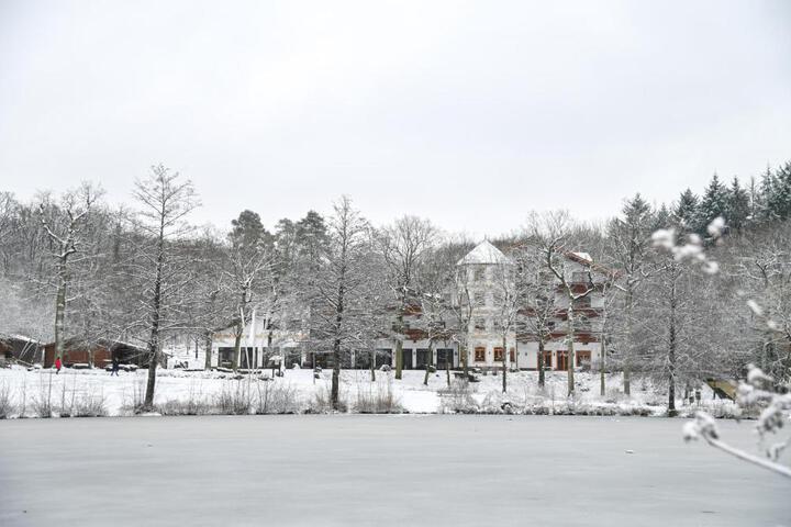 Photo 15