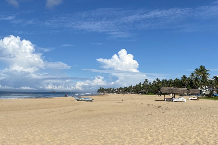 Beach 194 of 221