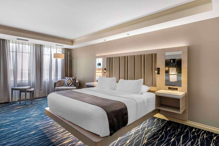 Standard | King Bed (1 of 9)