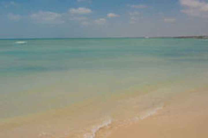 Beach 9 of 41