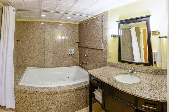 Suite Executive King Bed (15 of 19)
