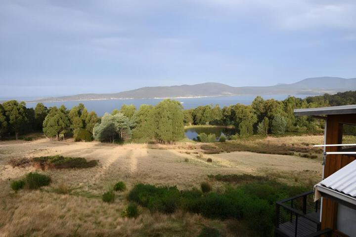 General 49 of 50