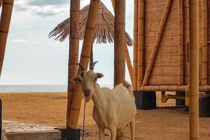 Hotel Sukuua Kai cabo de la vela in Uribia