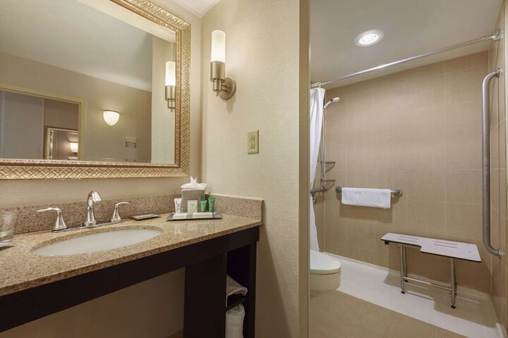 1 King Deluxe Mobility Accessible with Roll in Shower (7 of 12)