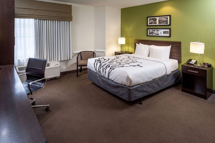 Queen Bed Accessible (3 of 14)