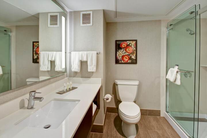 Bathroom shower