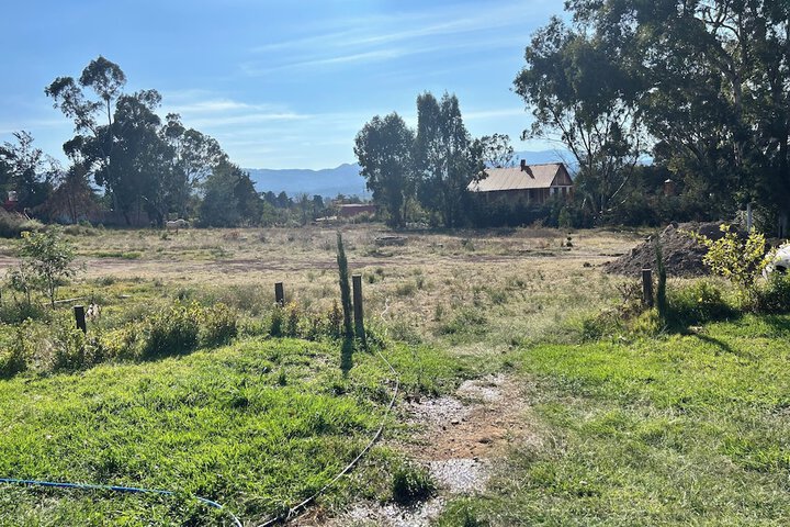 Property Grounds 184 of 210