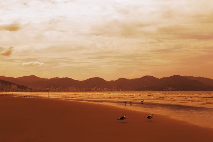 Beach 123 of 170