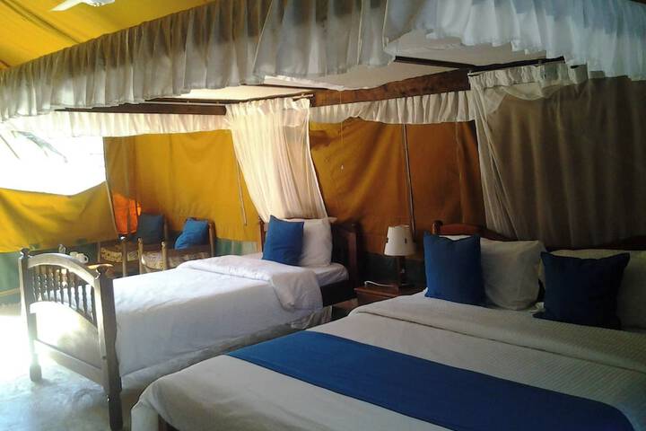 Room 13 of 66