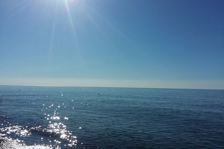 Beach 90 of 101