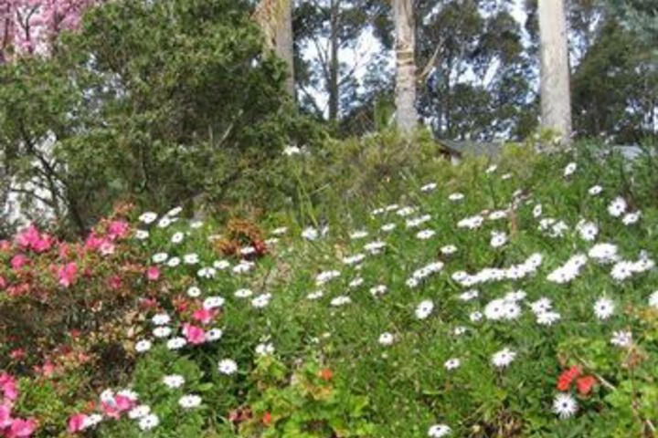 Property Grounds 162 of 177