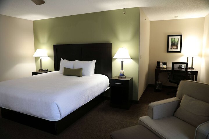 1 King Bed (6 of 15)