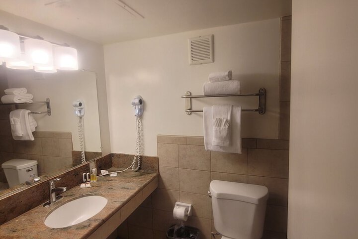 1 King Bed Accessible (4 of 13)