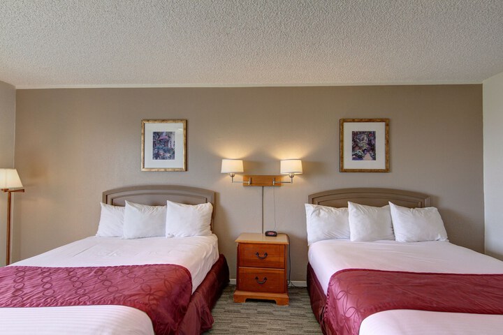 2 Queen Beds Mountain View Pet Friendly Corner (8 of 15)