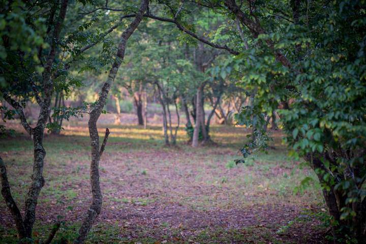 Property Grounds 30 of 51