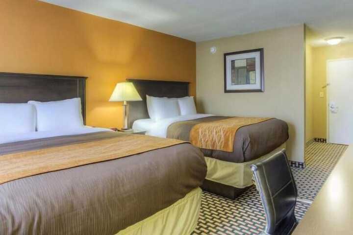 2 Queen Beds (3 of 11)