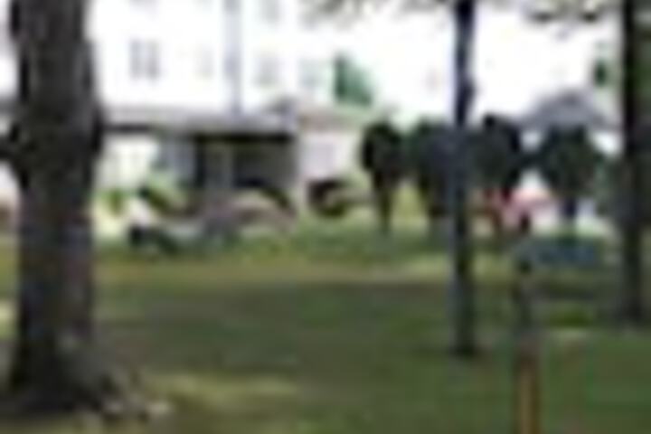 Property Grounds 233 of 246