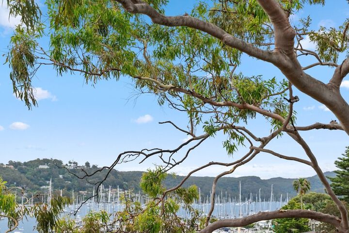 Lake view