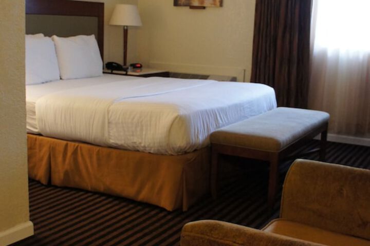 Standard | King Bed (2 of 6)