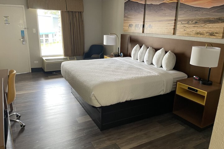 1 King Bed (14 of 23)