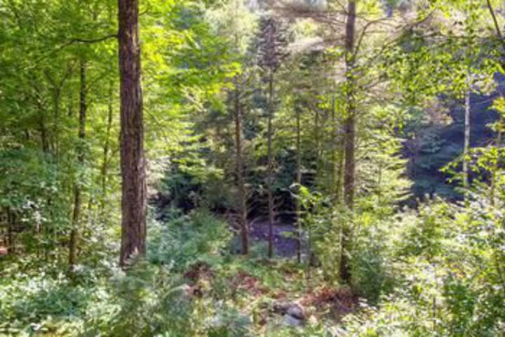 Property Grounds 25 of 28