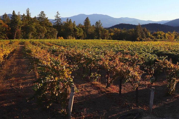Winery