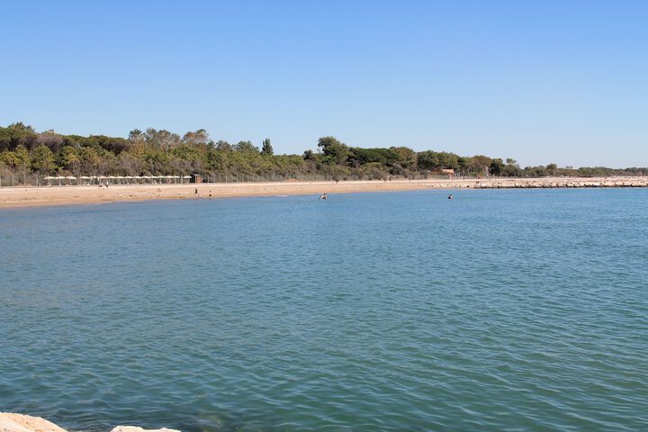 Beach 46 of 58