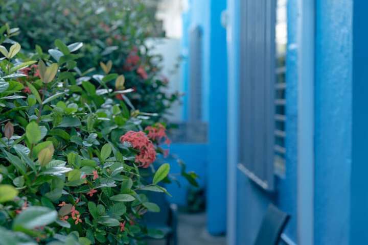 Terrace/Patio 125 of 190