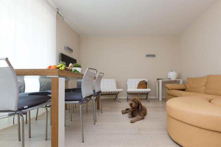 General 41 of 59