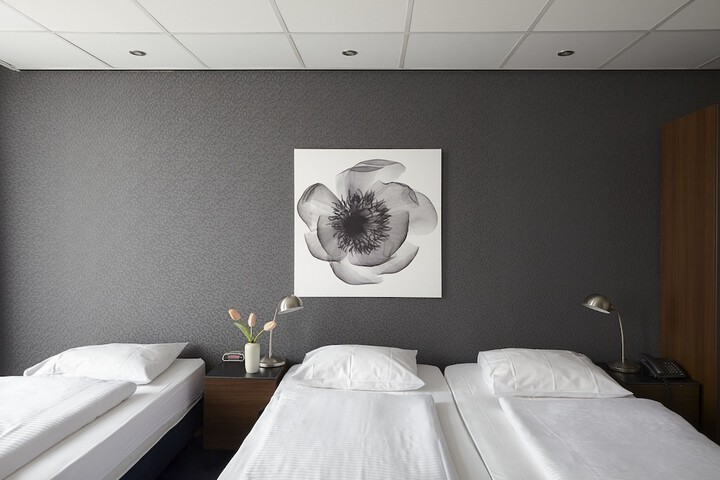 Room 6 of 24