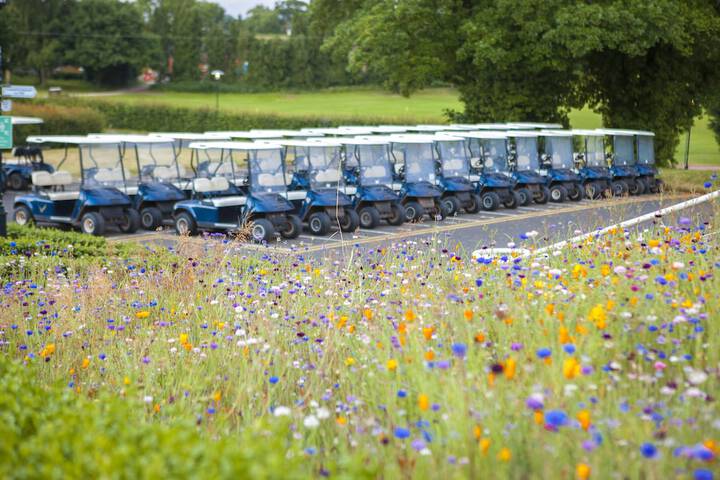 Golf cart