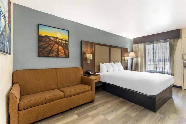 1 King Bed High Speed Internet Accessible Sofa Bed Microwave, Refrigerator Full Breakfast (3 of 18)