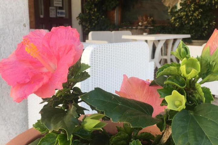 Hotel PINO LORICATO