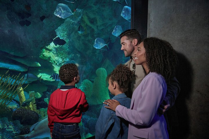 Childrens Activities 49 of 78