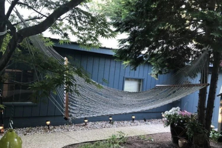 Image of TreePot TeaHouse and Garden