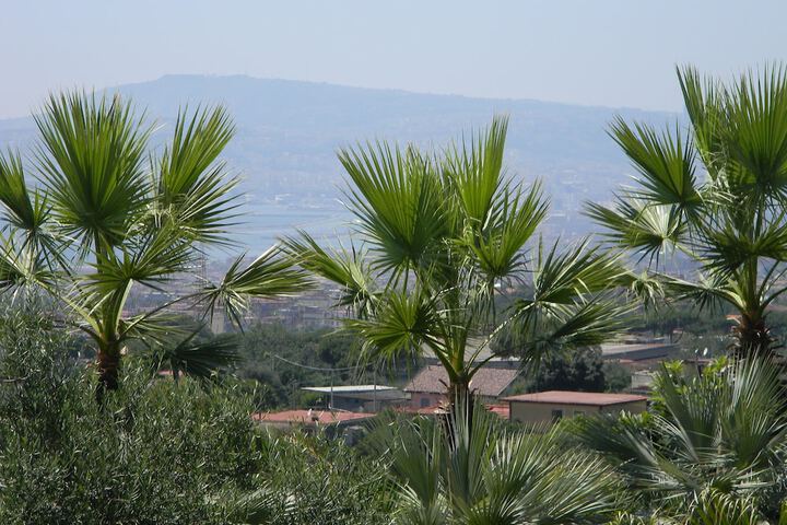SANFRALU