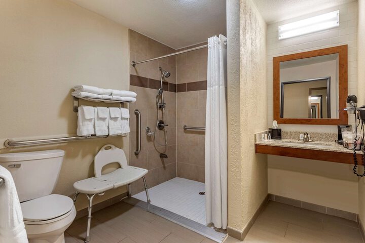 Suite King Bed Accessible (11 of 22)
