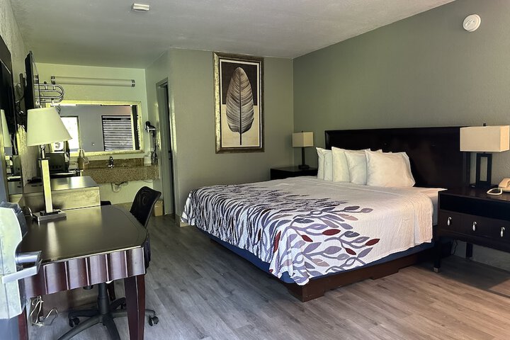 Standard Single Room 1 King Bed