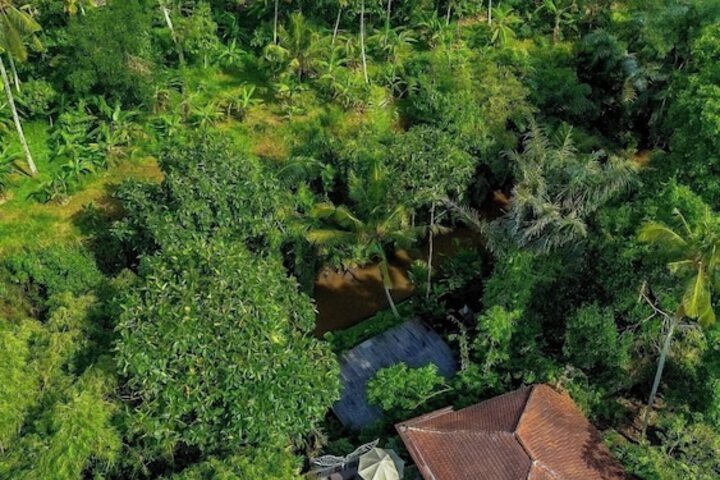 Tattva Ubud Retreat &  Wellness in Ubud