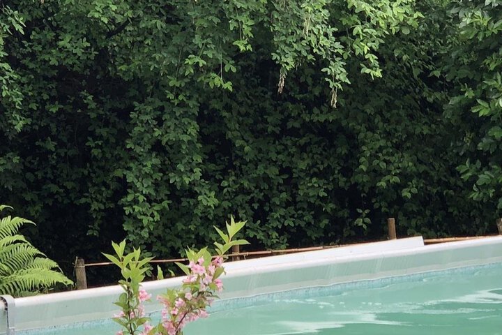 Photo 17