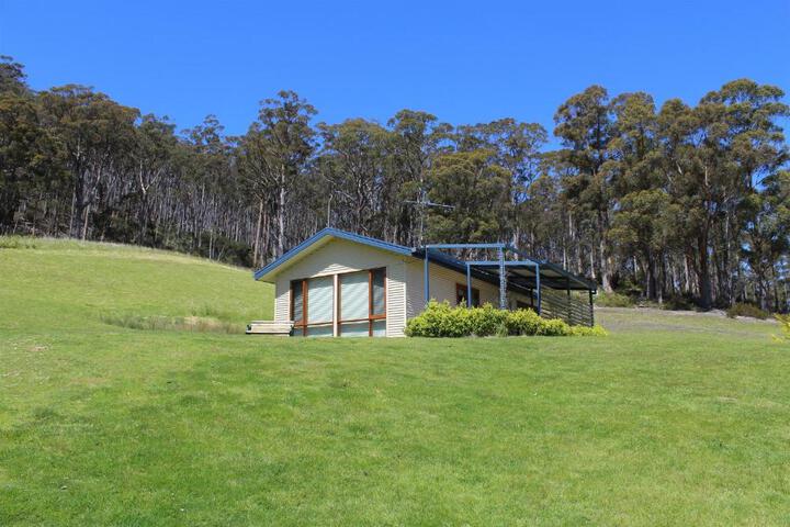 Cherryview Cygnet