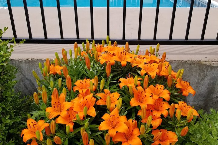 Property Grounds 82 of 92