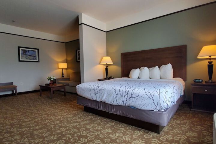 1 King Bed (10 of 13)