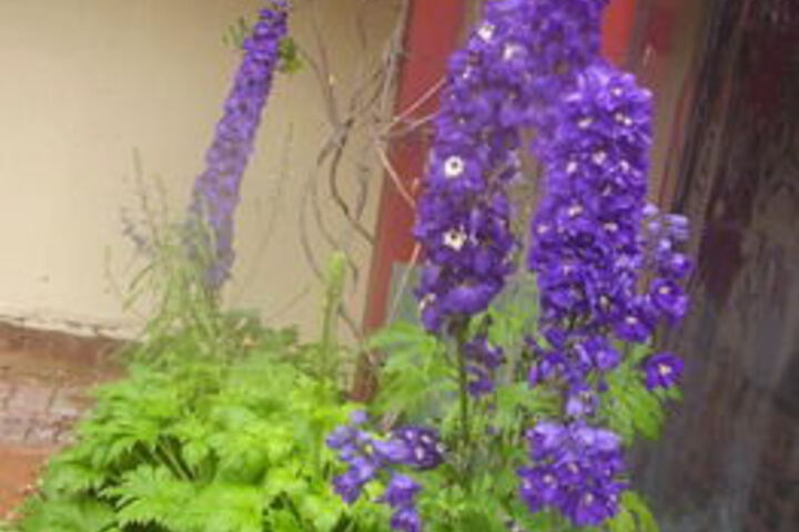 Hotel Exterior 7 of 21