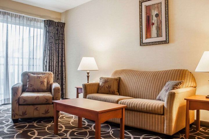 1 King Bed Suite with Sofa Bed (2 of 10)