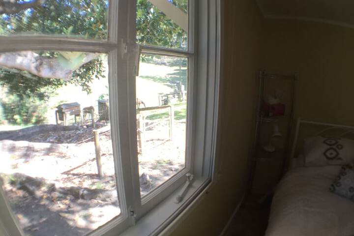 Room 47 of 96