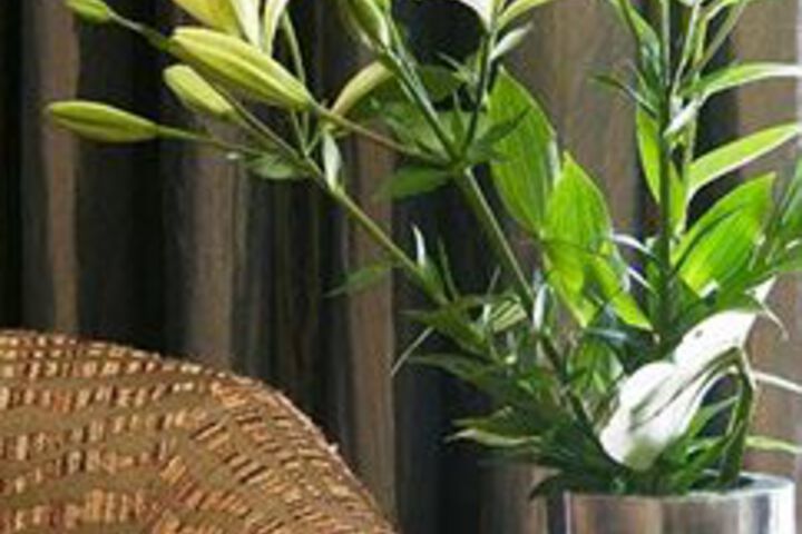 Hotel Interior 11 of 23